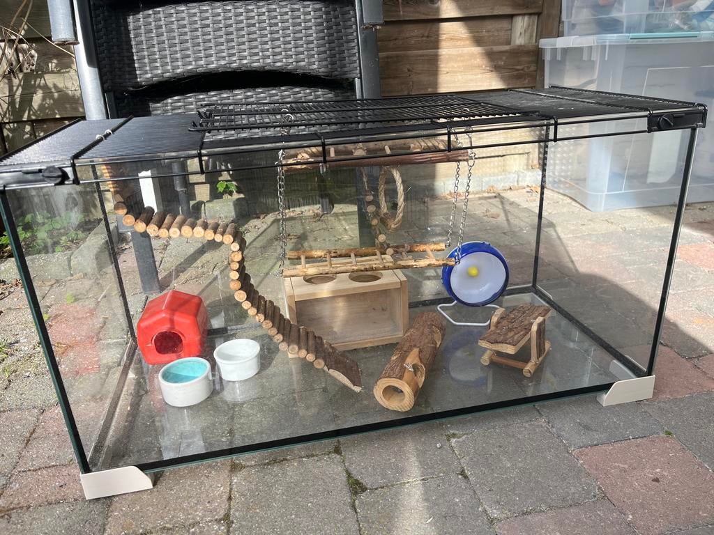 Hamsterkooi en toebehoren, Dieren en Toebehoren, Hok, 75 tot 110 cm, Ophalen, Minder dan 60 cm