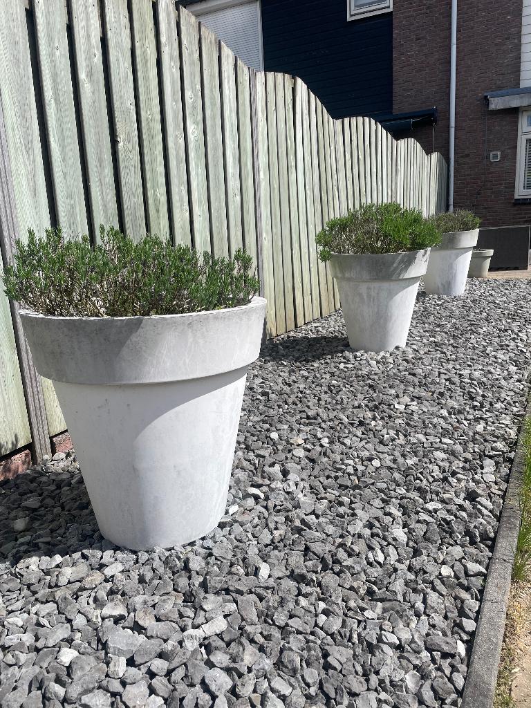 Grote witte plastic bloembakken, Tuin en Terras, Ophalen, Kunststof, Gebruikt, Rond