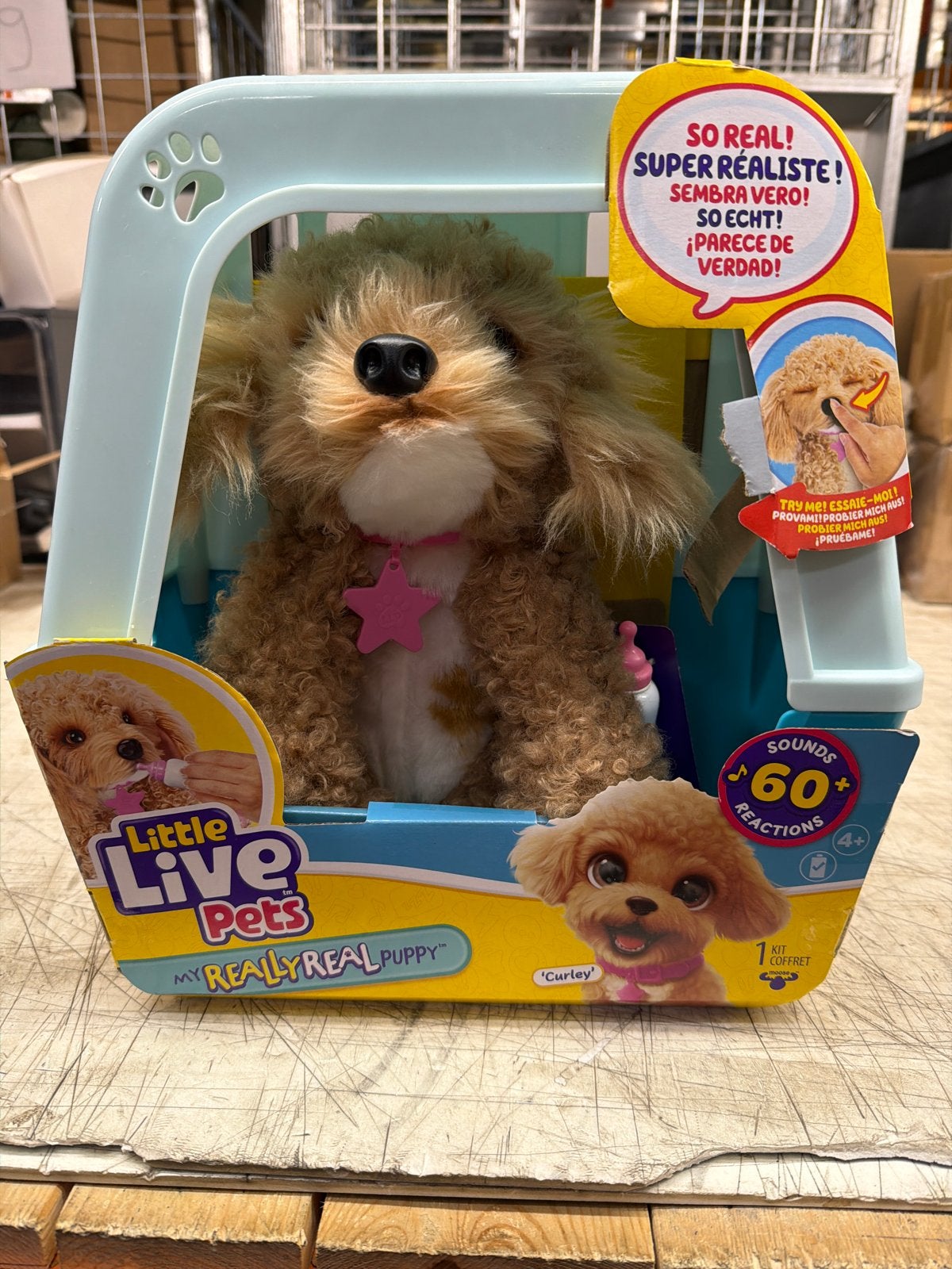 Little Live Pets My Really Real Puppy Curley, Overige merken, Met geluid, Overige karakters, Zo goed als nieuw