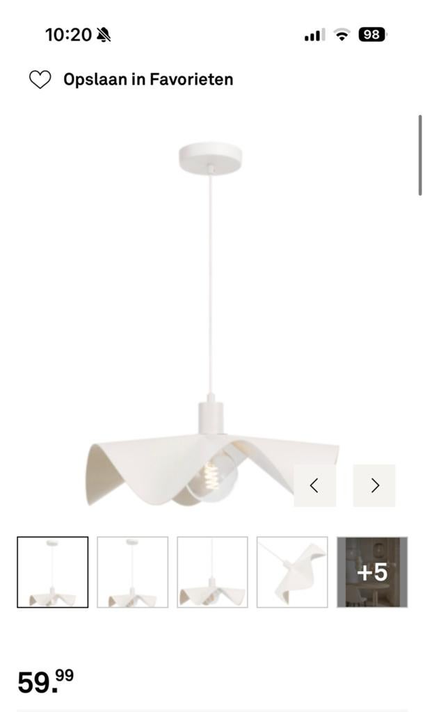 Karwei hanglamp, Ophalen of Verzenden, Nieuw, Minder dan 50 cm