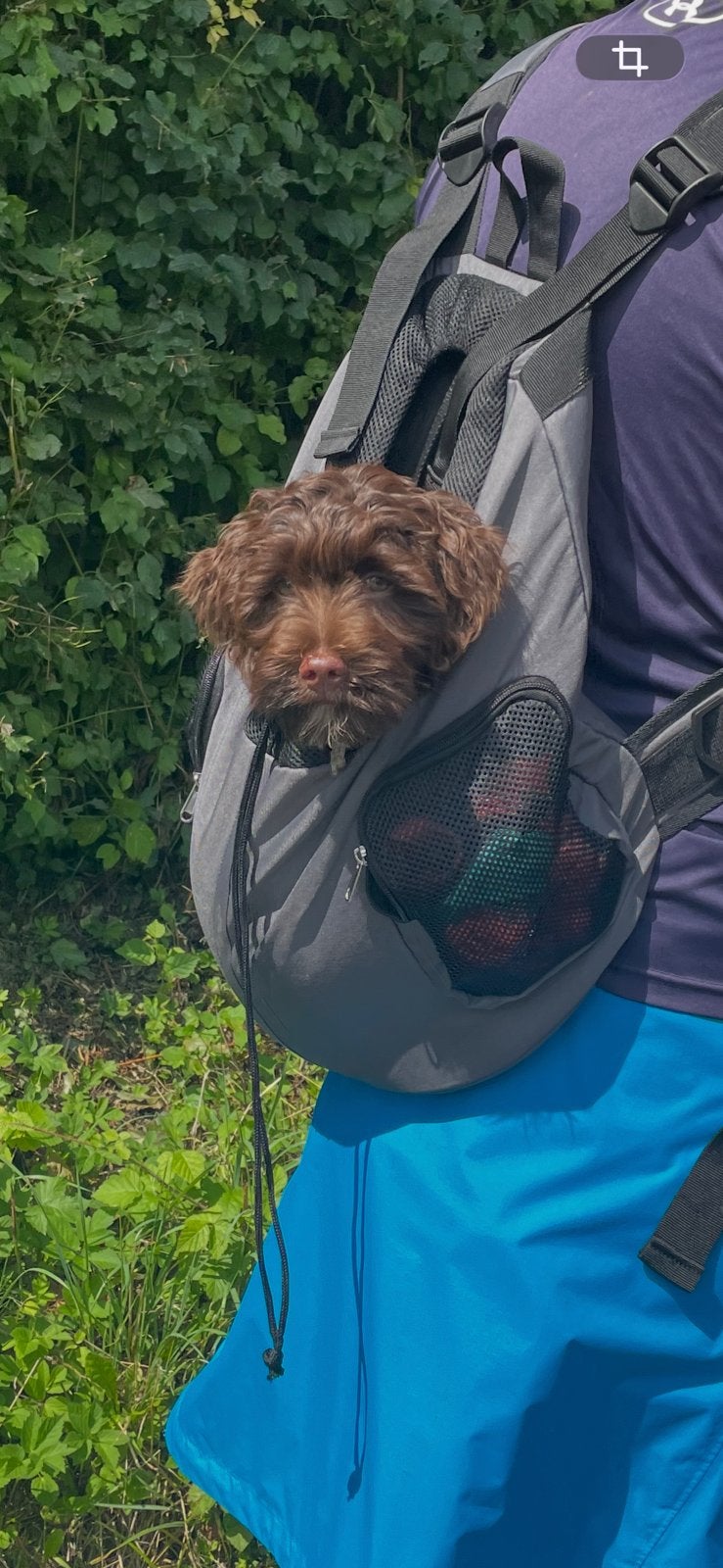 Hondendraagzak, zo goed als nieuw, kleine hond of pup, Dieren en Toebehoren, Ophalen of Verzenden, Zo goed als nieuw