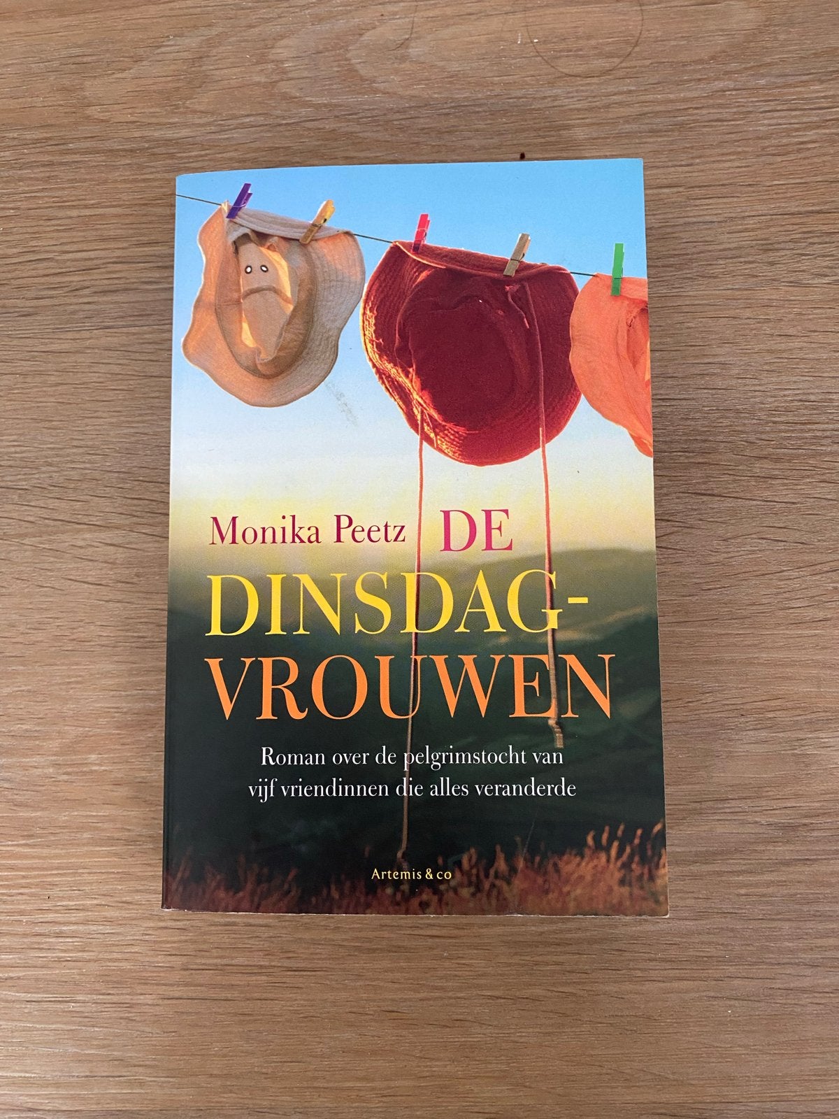 De Dinsdagvrouwen - Monika Peetz (Roman), Boeken, Ophalen of Verzenden, Zo goed als nieuw, Nederland