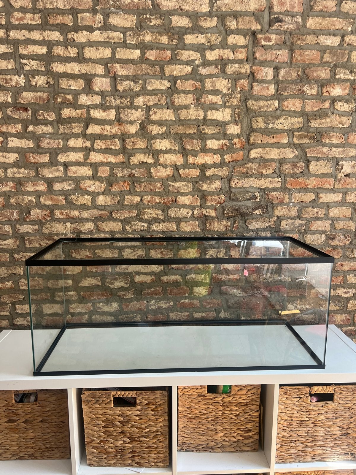 Hamster terrarium + extra’s, Zo goed als nieuw, 75 tot 110 cm, Ophalen, Minder dan 60 cm