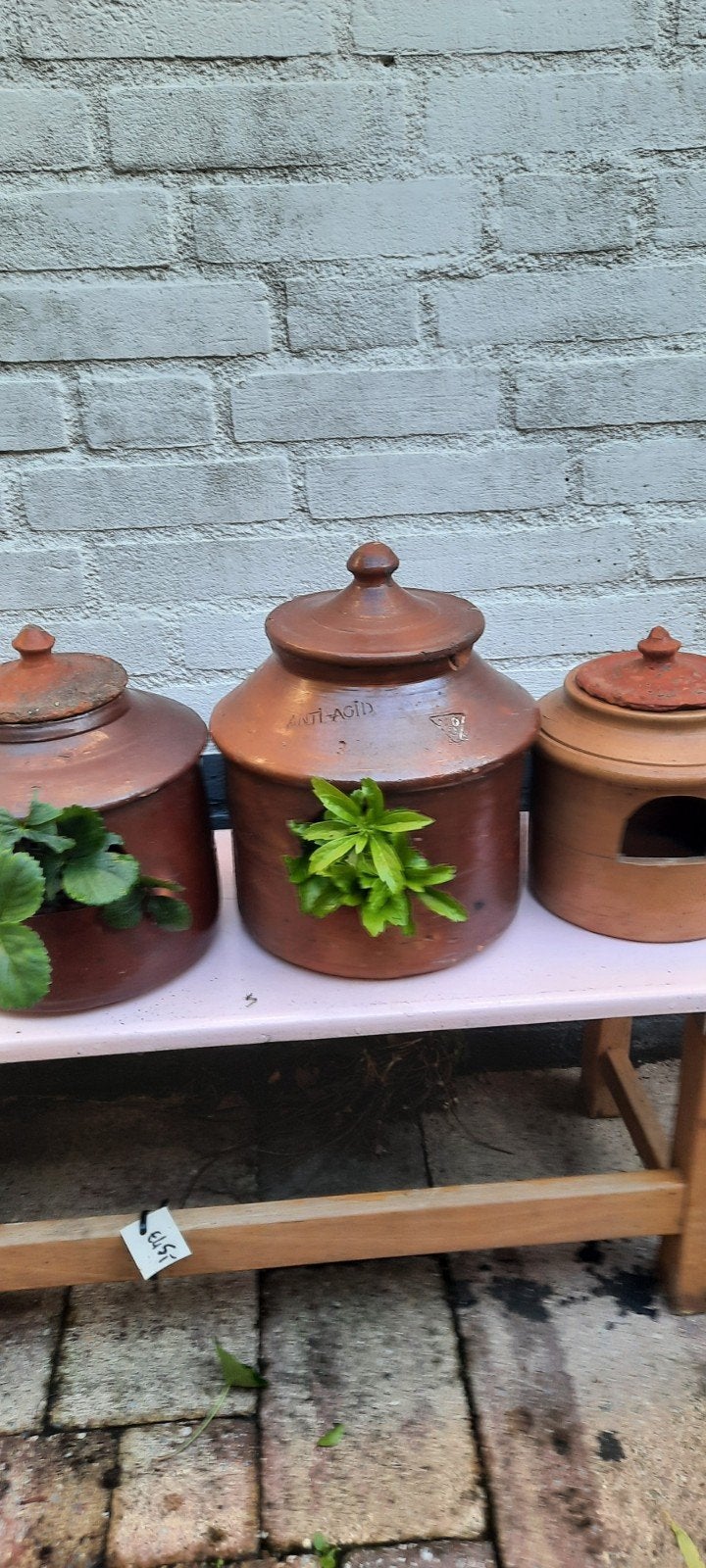Antieke duiven grespotten, Ophalen of Verzenden