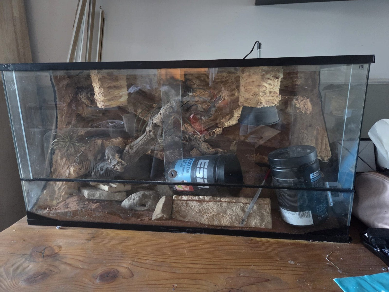 terrarium, Ophalen, Gebruikt, Terrarium of Paludarium