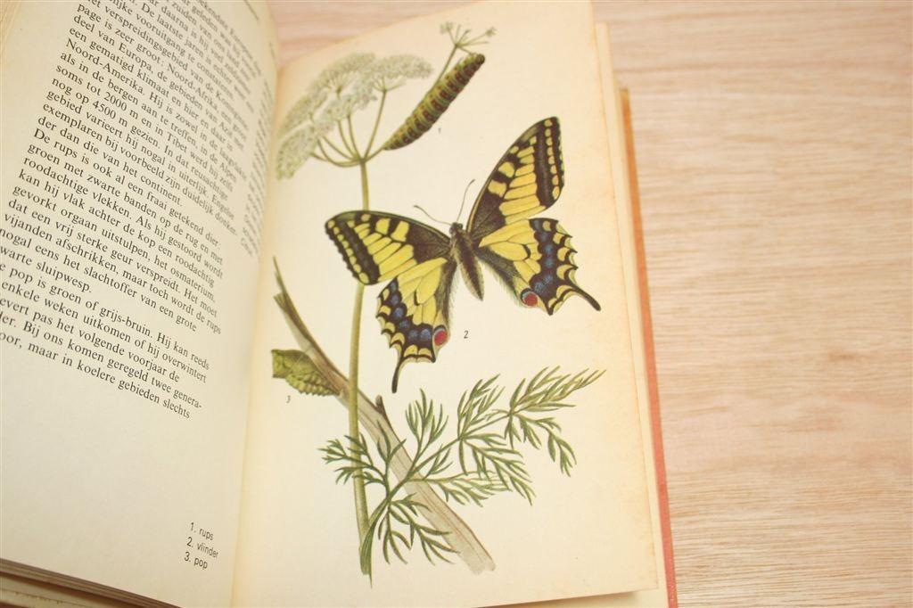 Vintage Boek Dagvlinders — Rijk Geïllustreerd [1973], Ophalen of Verzenden, Gelezen, Katten