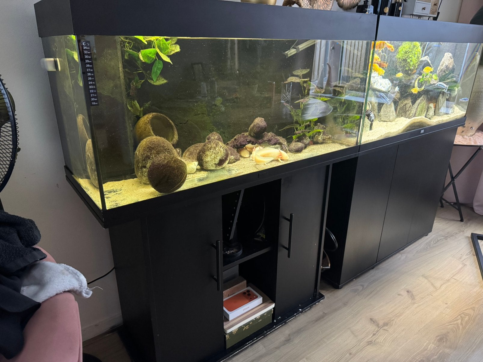 Aquarium Juwel 180ltr incl day-night control en 3 axolotl, Dieren en Toebehoren, Ophalen, Zo goed als nieuw, Gevuld zoetwateraquarium