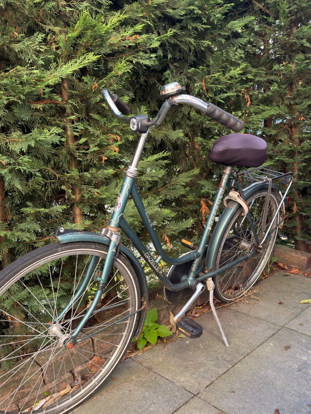 Gazelle damesfiets, Ophalen, Velgrem, Versnellingen, Gazelle