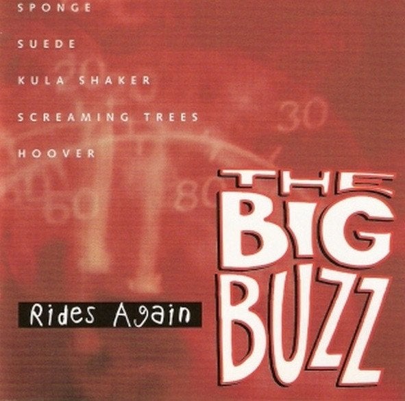 SALE--CD VARIOUS - The Big Buzz Rides Again, Cd's en Dvd's, Cd's | Rock, Zo goed als nieuw, Poprock, Verzenden