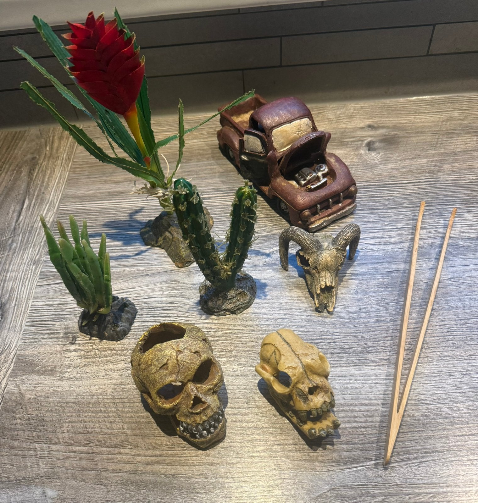 Decoratie en voer/ water bakken, Dieren en Toebehoren, Ophalen, Gebruikt, Terrarium of Paludarium