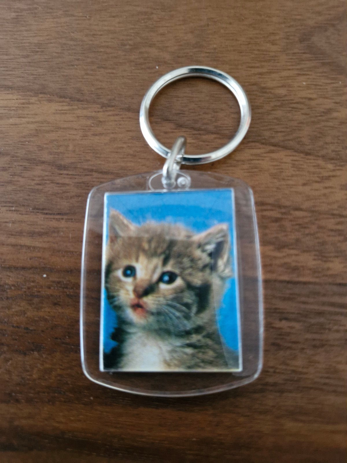 081 Sleutelhanger met schattige kitten afbeelding, Ophalen of Verzenden, Gebruikt, Dier of Natuur