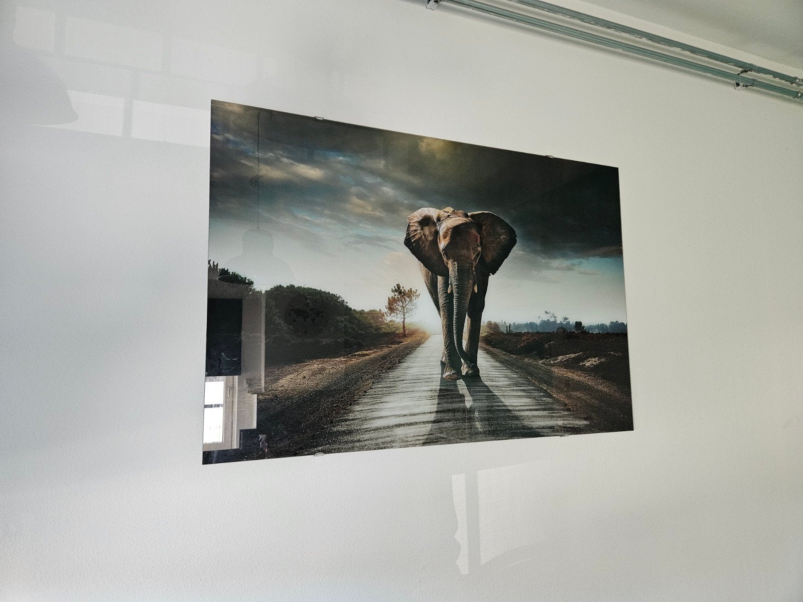 olifant foto op glas - 120x80 cm, Huis en Inrichting, Woonaccessoires | Schilderijen, Tekeningen en Foto's, Ophalen