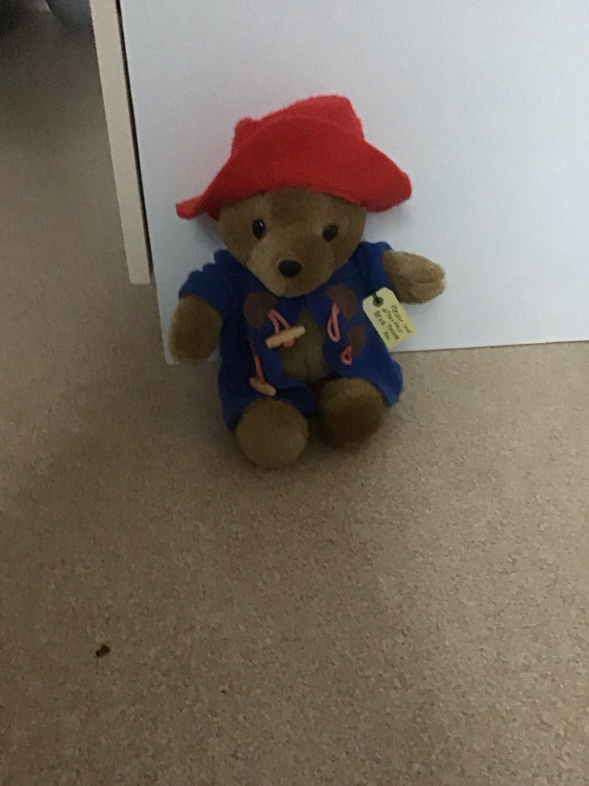 Paddington Beer Knuffel - Zo goed als nieuw, Overige merken, Overige karakters, Beer, Ophalen of Verzenden