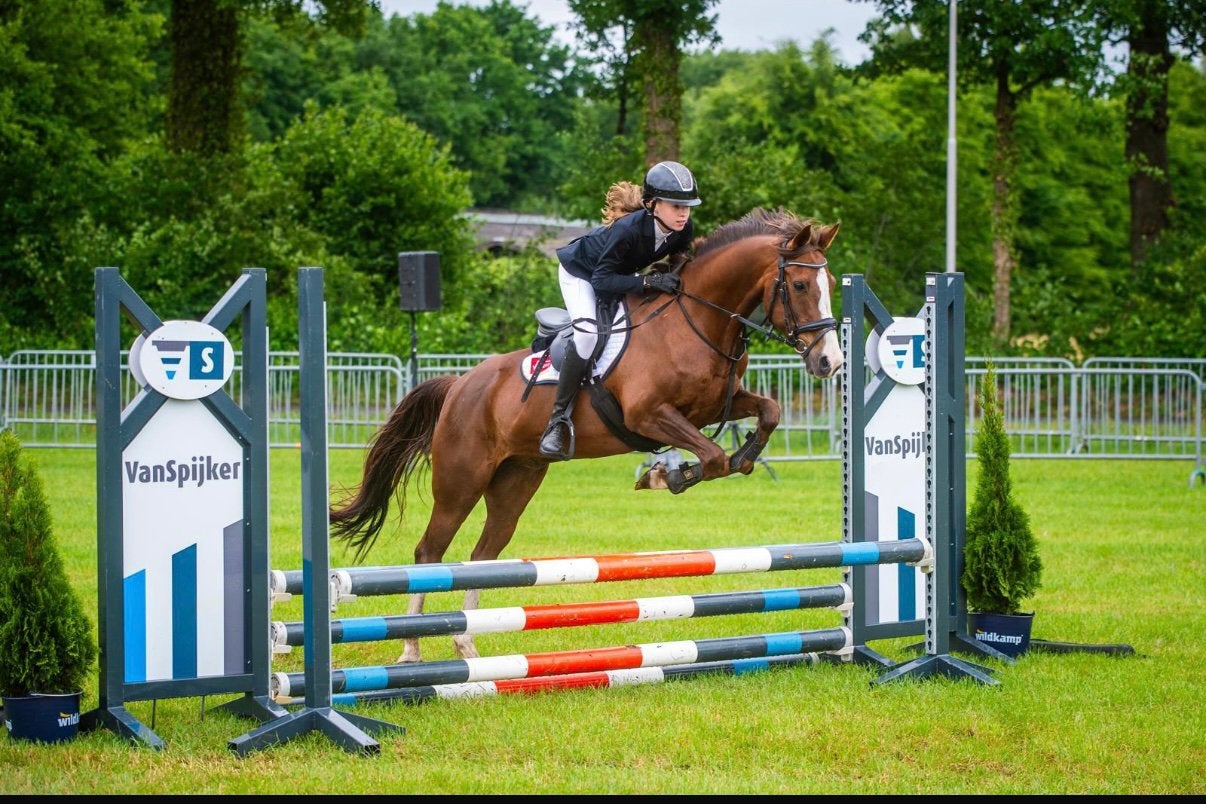 Brave D-pony, Merrie, 11 jaar of ouder