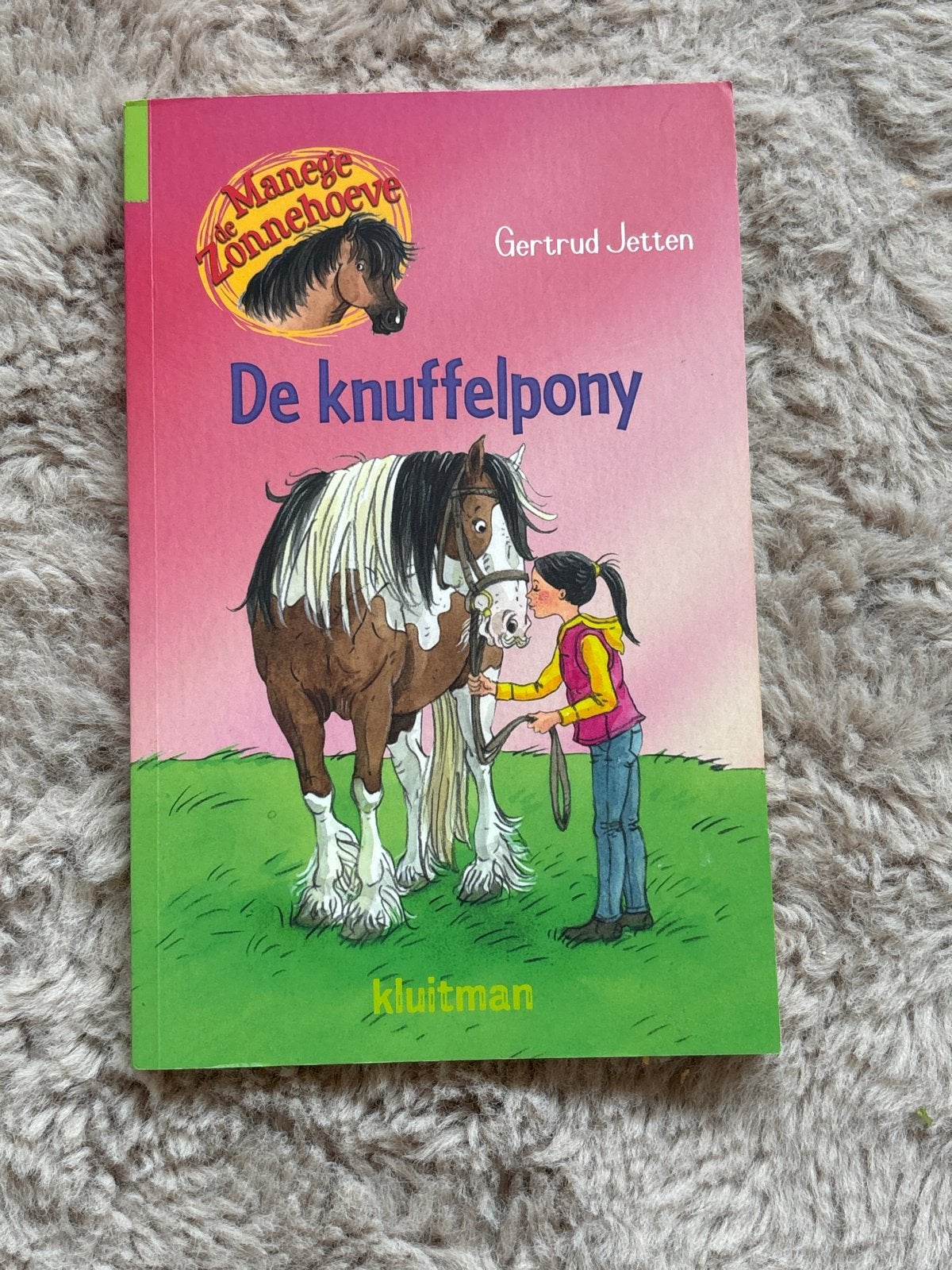 De knuffelpony - Manege Zonnehoeve - Gertrud Jetten, Ophalen of Verzenden, Gelezen, Fictie algemeen