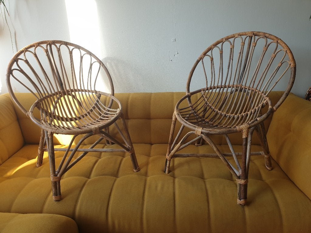 Set: twee rotan bamboe stoelen! - ☆ NU EXTRA KORTING ☆, Huis en Inrichting, Ophalen, Twee, Bruin, Riet of Rotan