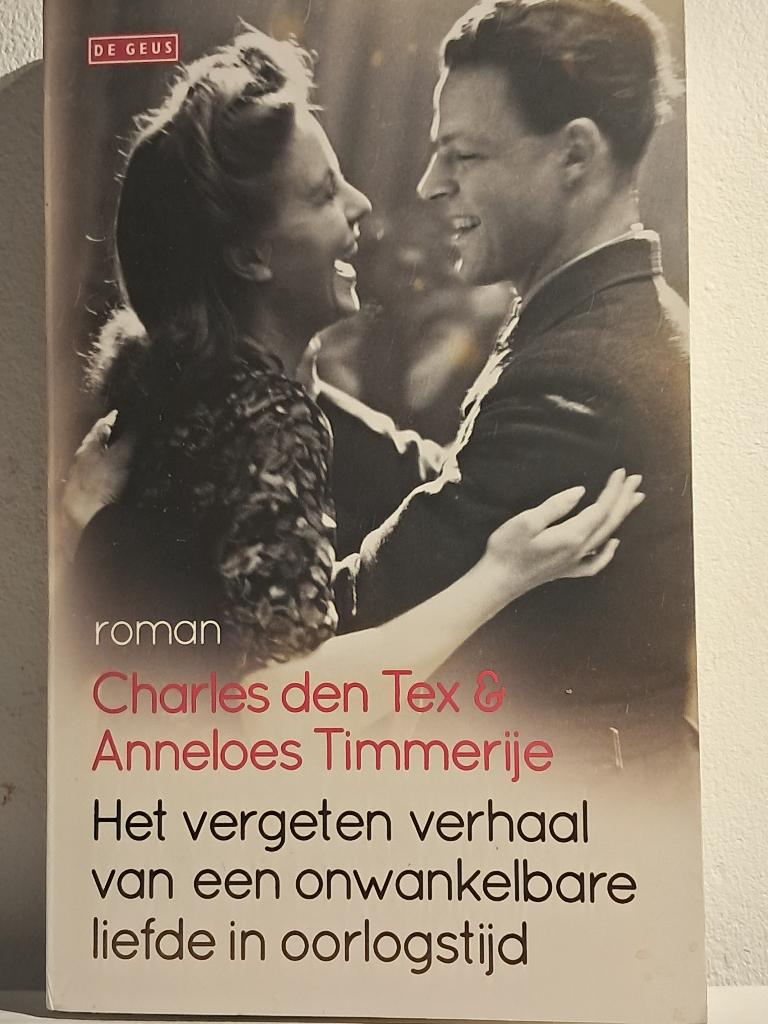 Het vergeten verhaal | Charles den Tex & Anneloes Timmerije, Ophalen of Verzenden, Zo goed als nieuw, Charles den Tex & Anneloes Timmerije