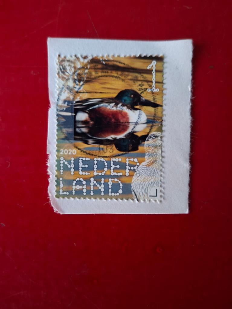 Nederland 2020 nvph3825, Ophalen of Verzenden, Na 1940, Gestempeld