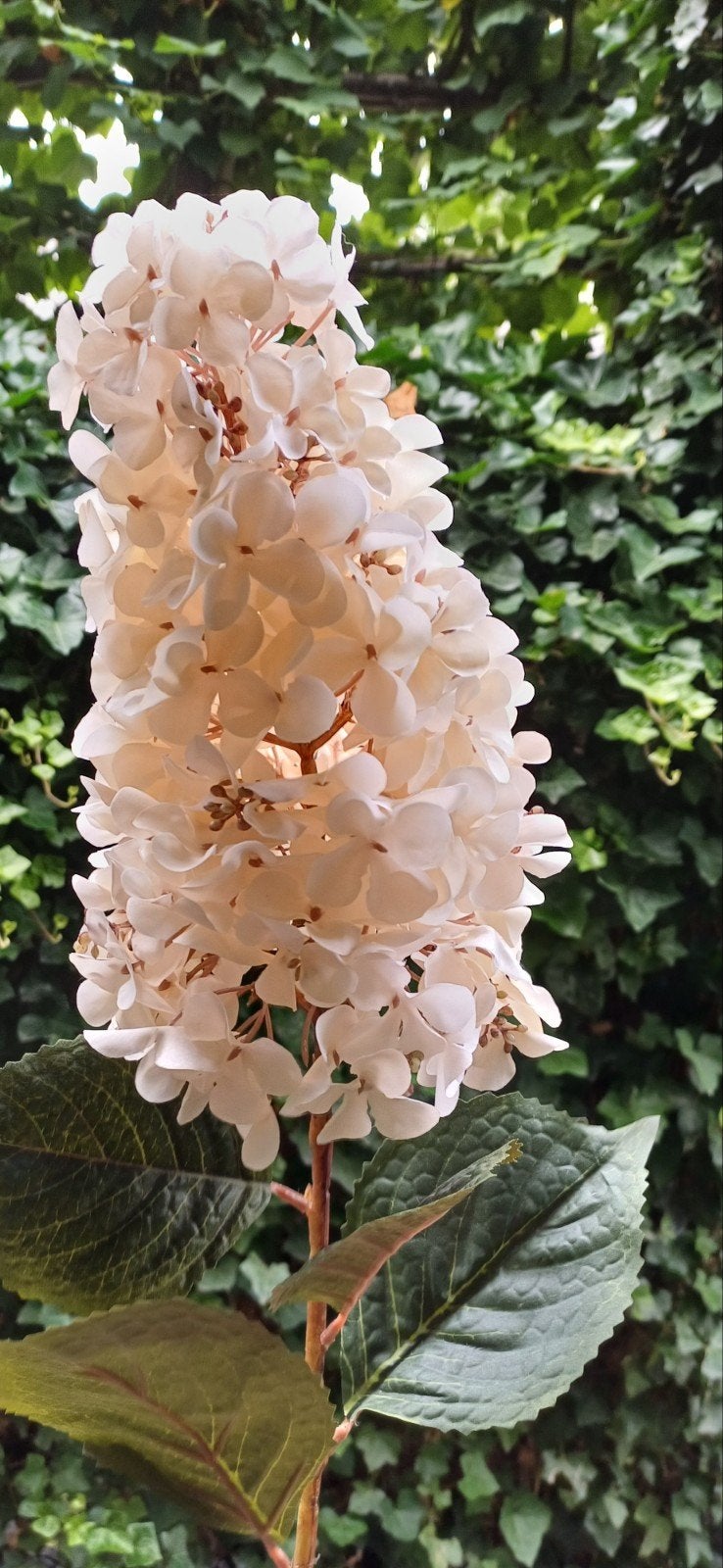5 mooie lange zijden takken met of zonder vaas, Beige, Kunstbloem, Ophalen of Verzenden, 80 cm