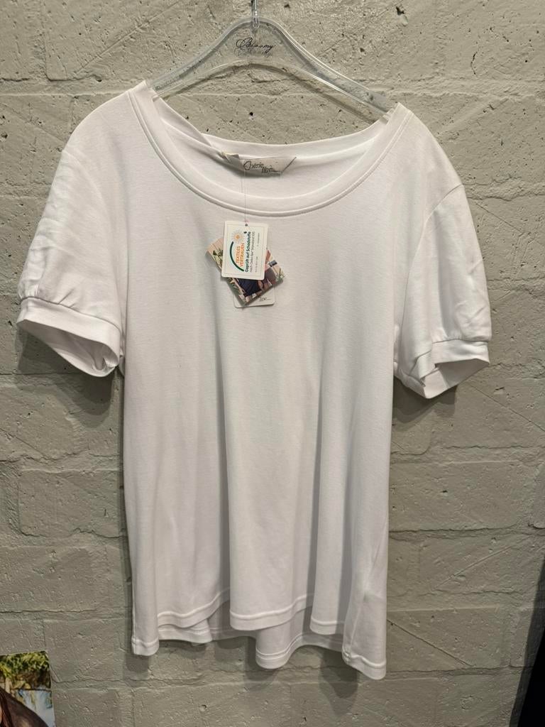Cherlie line t shirt 46 NIEUW!! Nu €10, Ophalen of Verzenden, Nieuw, Maat 46/48 (XL) of groter