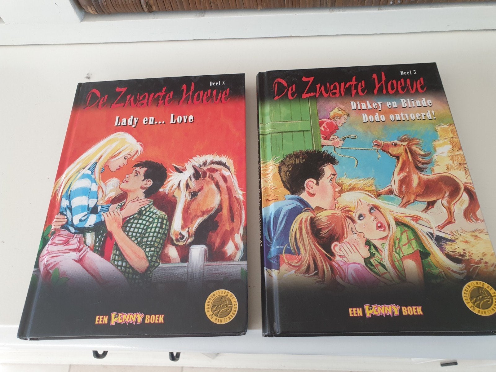 De zwarte hoeve - Penny boek (2stuks), Boeken, Ophalen of Verzenden, Gelezen, Fictie algemeen