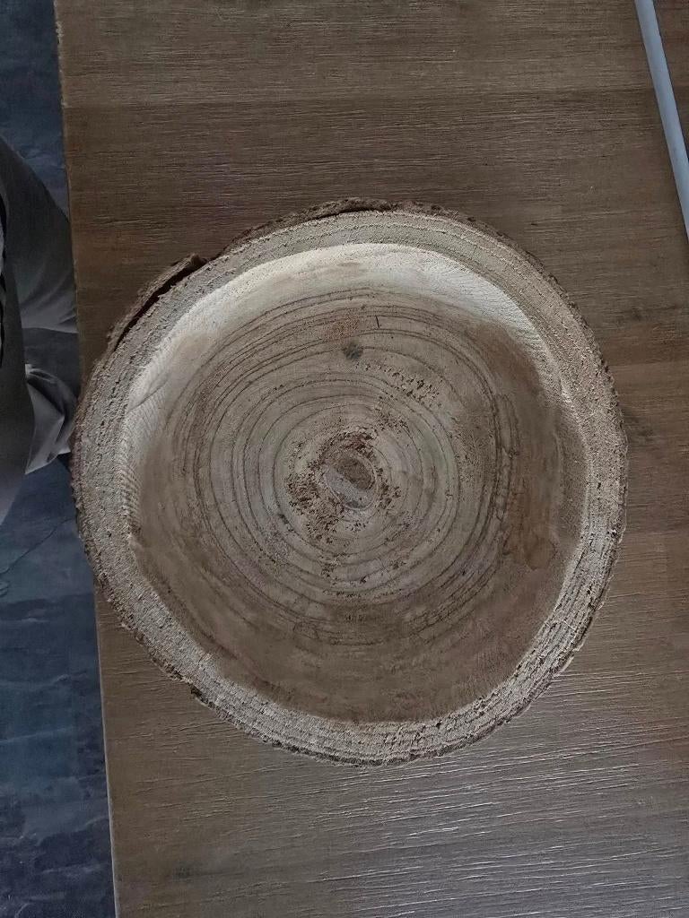 mooie boomstam schaal 20 cm   (w2, Ophalen of Verzenden, Gebruikt, Rond, Hout