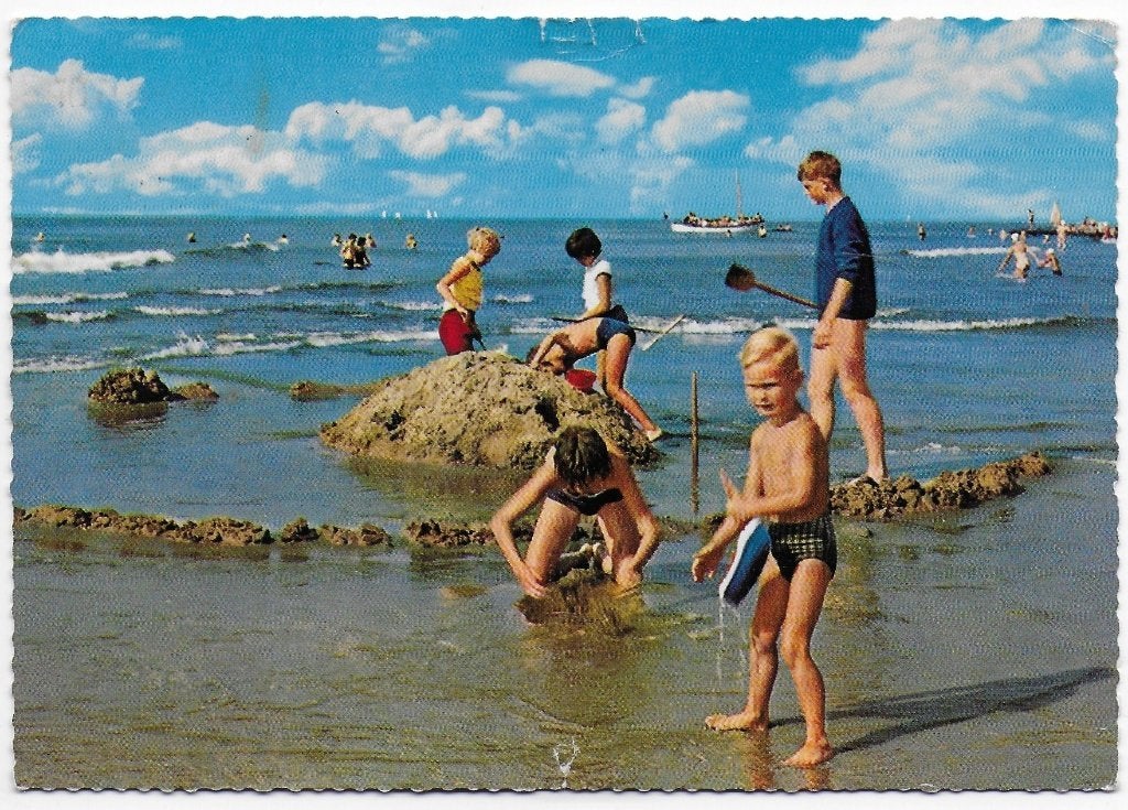 Dishoek Gelopen Ansichtkaart ( B5988 ), Ophalen of Verzenden, 1980 tot heden