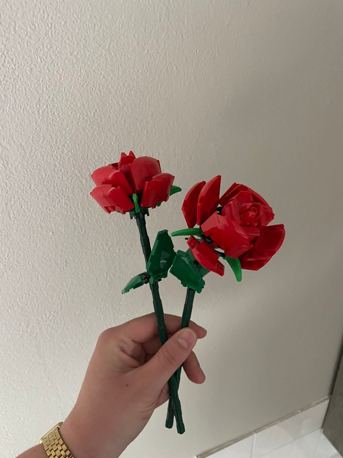 LEGO Iconic Rozen - Botanical Collection - 40460, Ophalen of Verzenden, Nieuw