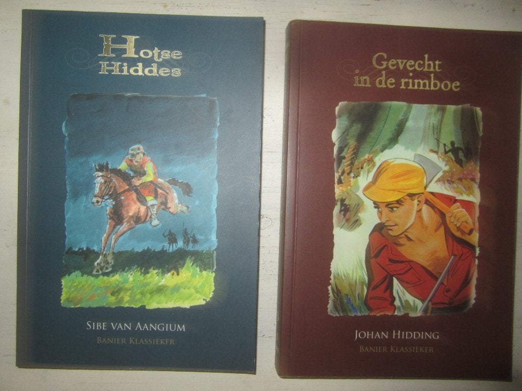 Sibe van Aangium Hotse Hiddes/ Hidding rimboe, Boeken, Ophalen of Verzenden, Zo goed als nieuw