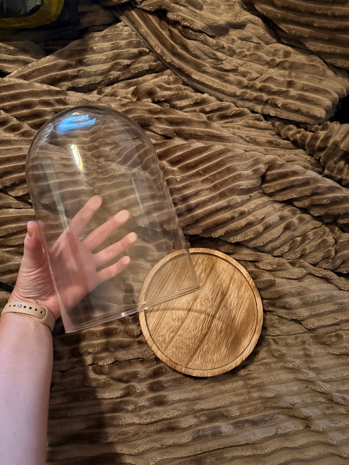 Grote partij glazen stolpen met houten voet (17x25 cm), 30+, Ophalen, Gebruikt, Met voet, X