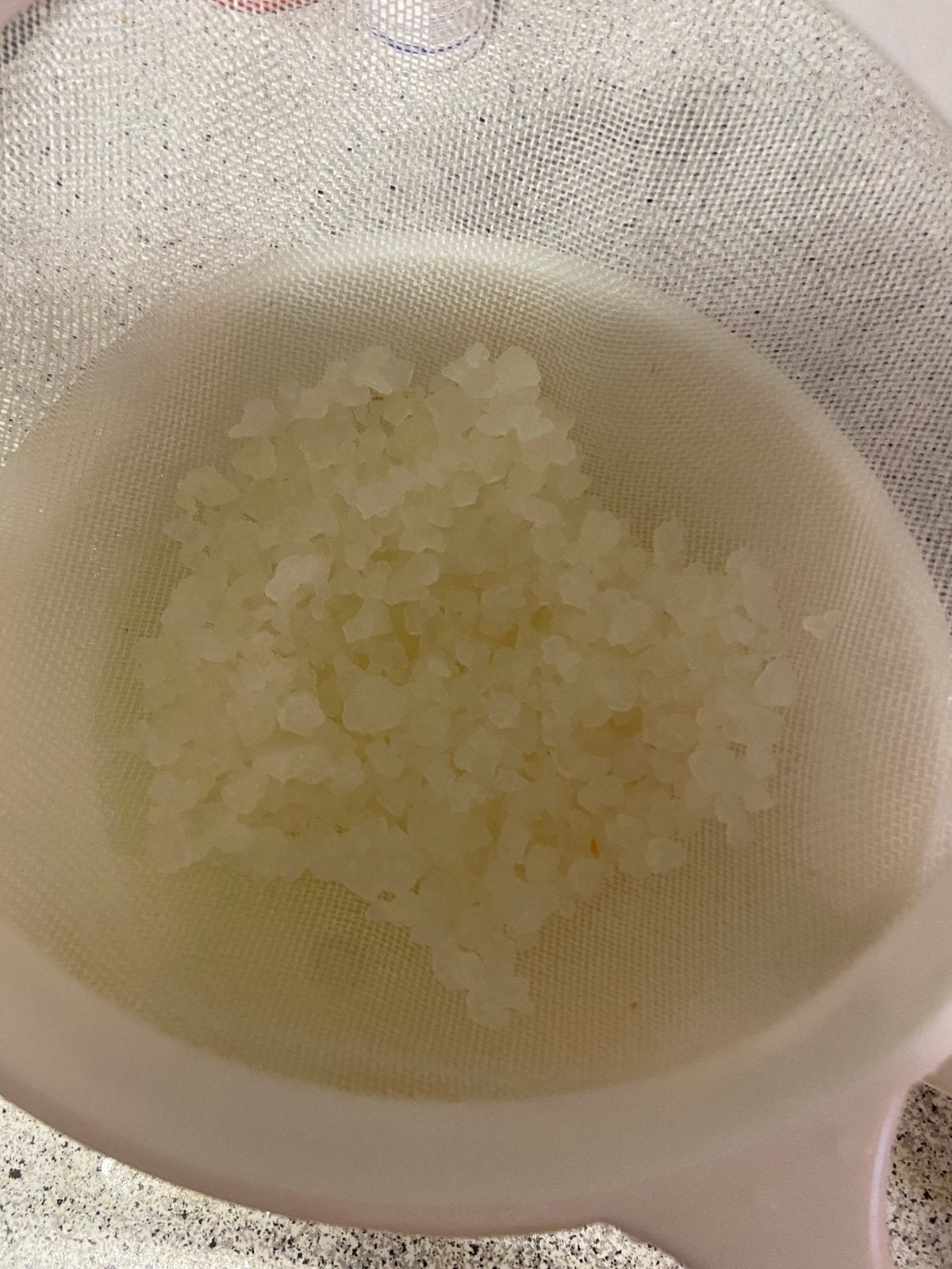 Waterkefir. 50 gram, Ophalen of Verzenden