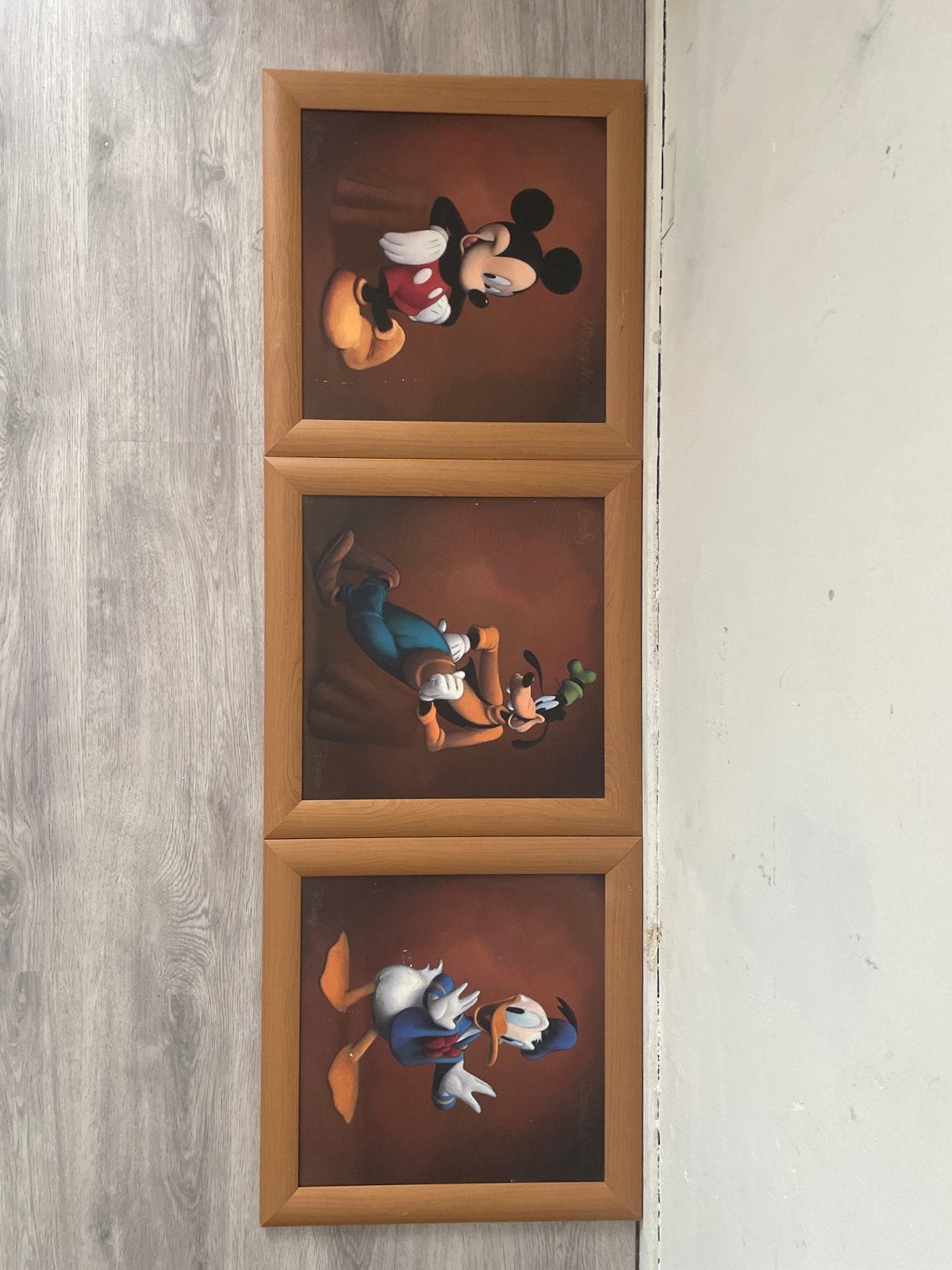Set van 3 Disney schilderijen: Mickey, Goofy, Donald, Ophalen, Minder dan 50 cm, Gebruikt, Oorspronkelijke maker