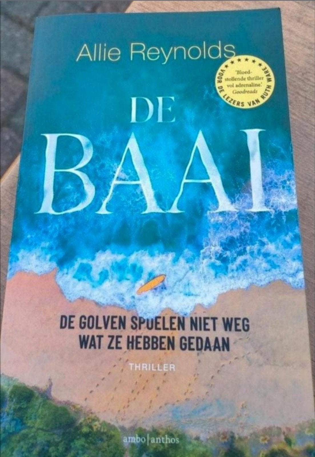 Allie Reynolds - De baai, Boeken, Ophalen of Verzenden, Zo goed als nieuw