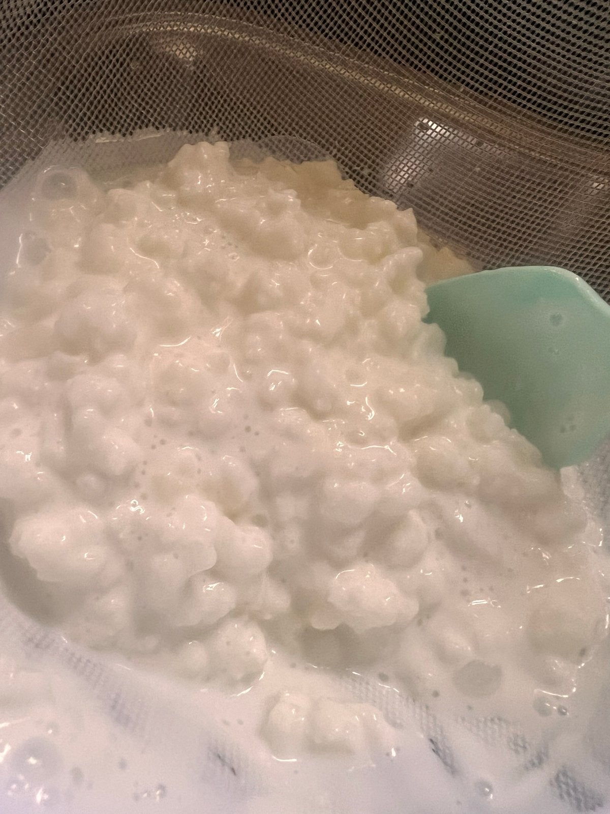 Verse melkkefir, Diversen, Ophalen
