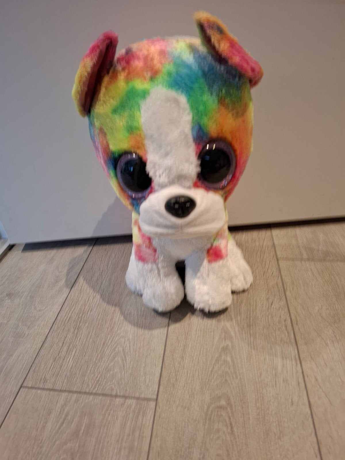 Ty Beanie Boo Isla de Hond - Grote Ogen - Kleurrijk, Middelgroot (20 tot 80 cm), Meerkleurig, Ty, Hond