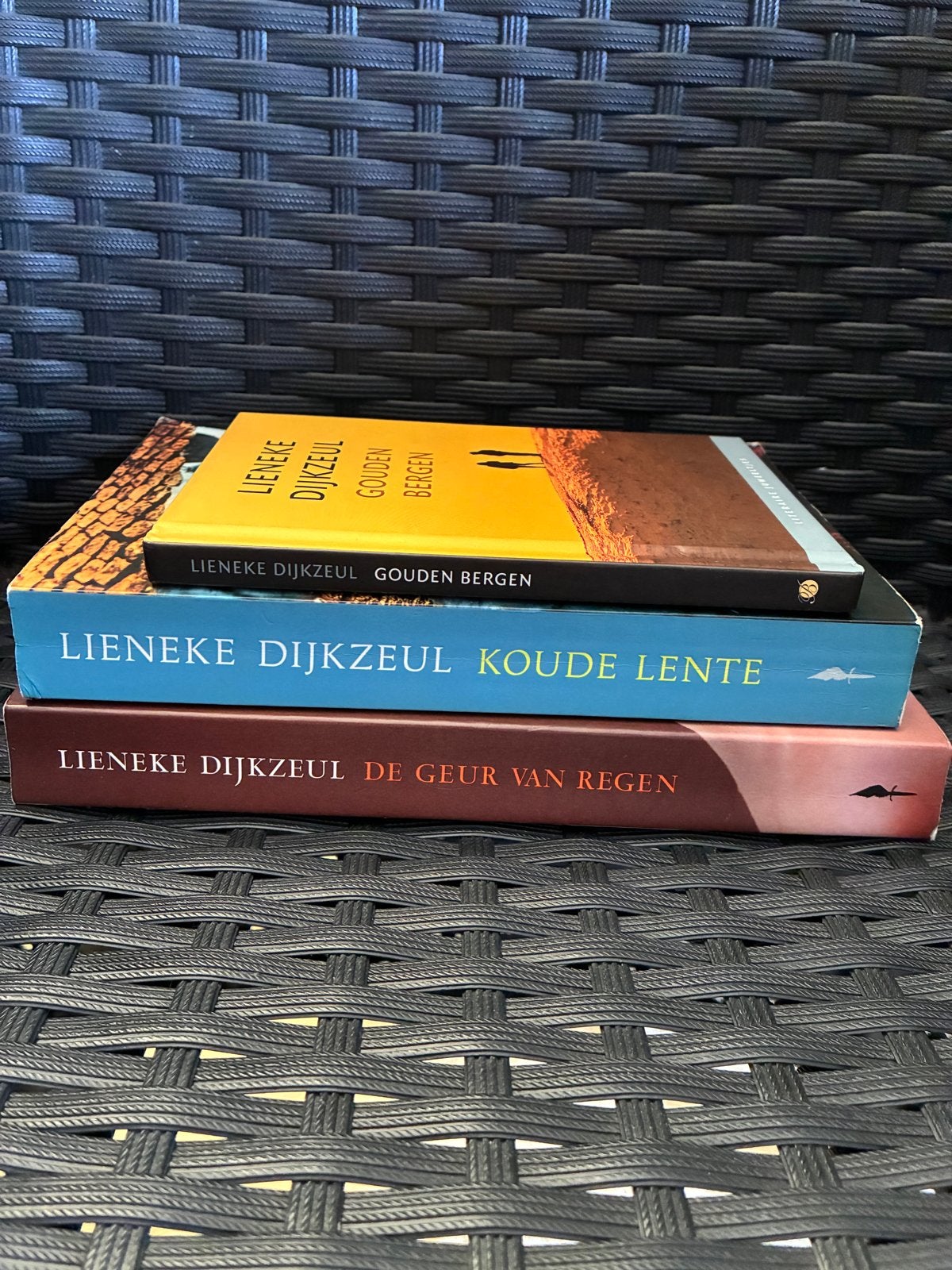 Lieneke Dijkzeul Gouden Bergen Koude Lente De Geur van regen, Ophalen of Verzenden, Zo goed als nieuw, Nederland