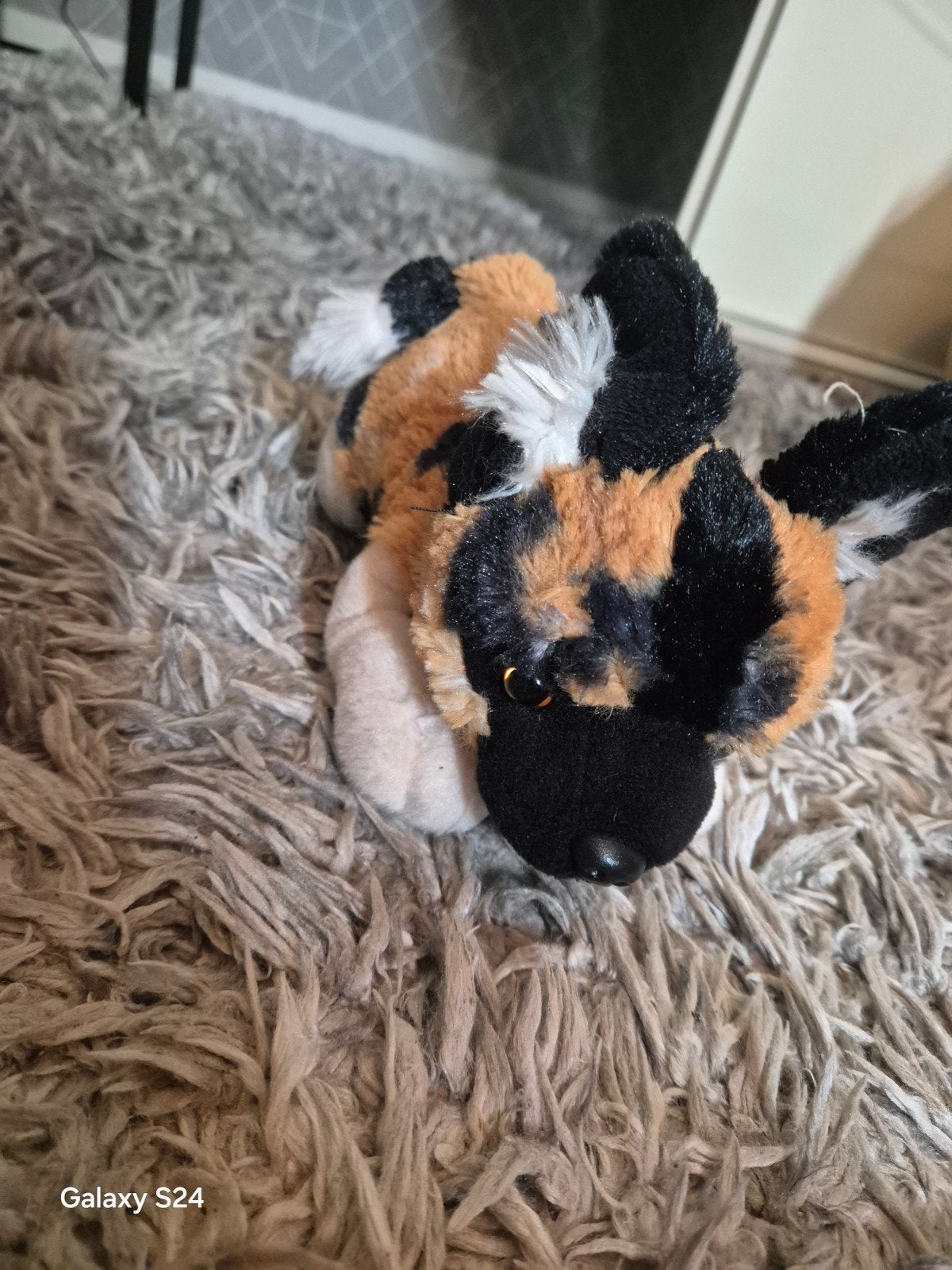 Leuke wilde hond knuffel - Zwart, bruin, wit, Ophalen of Verzenden, Gebruikt, Meerkleurig, Hond