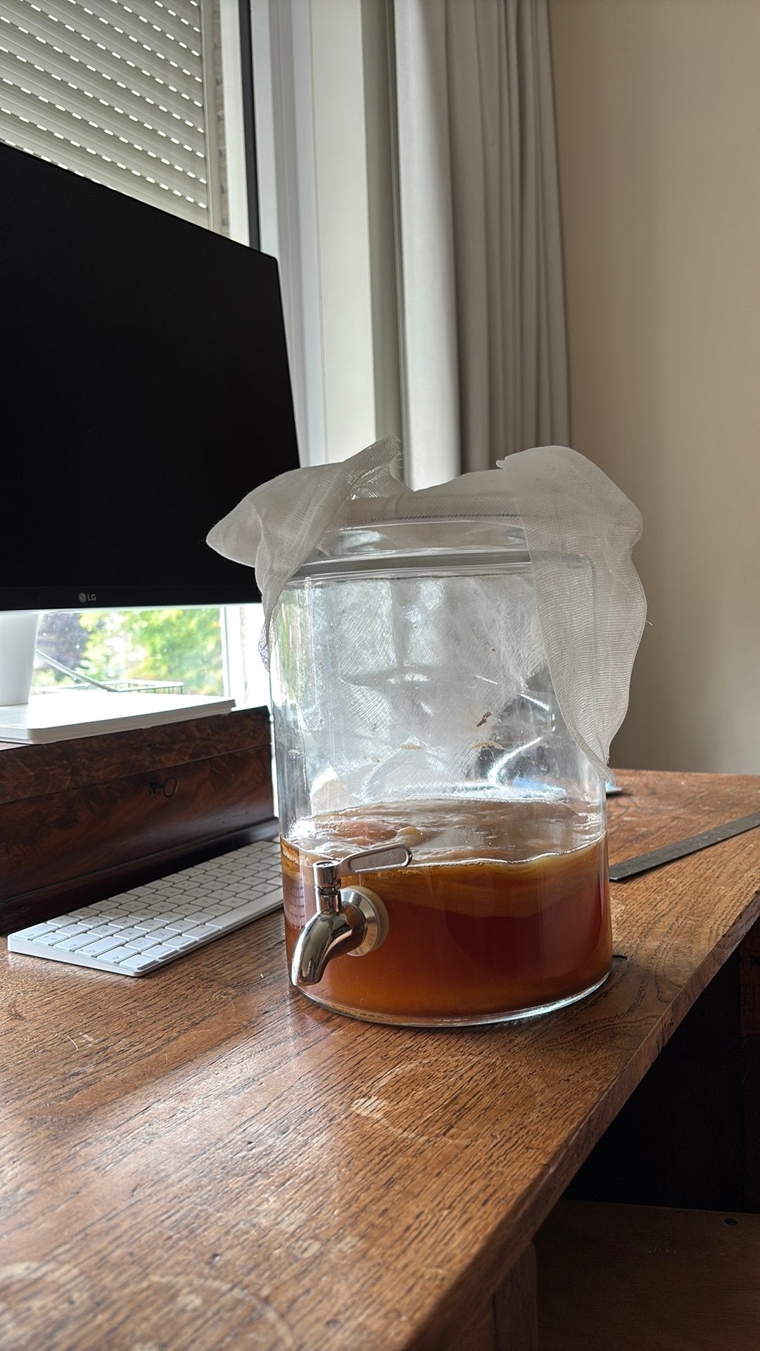 Scoby pellicle voor Kombucha (ruilen mag ook!), Ophalen of Verzenden