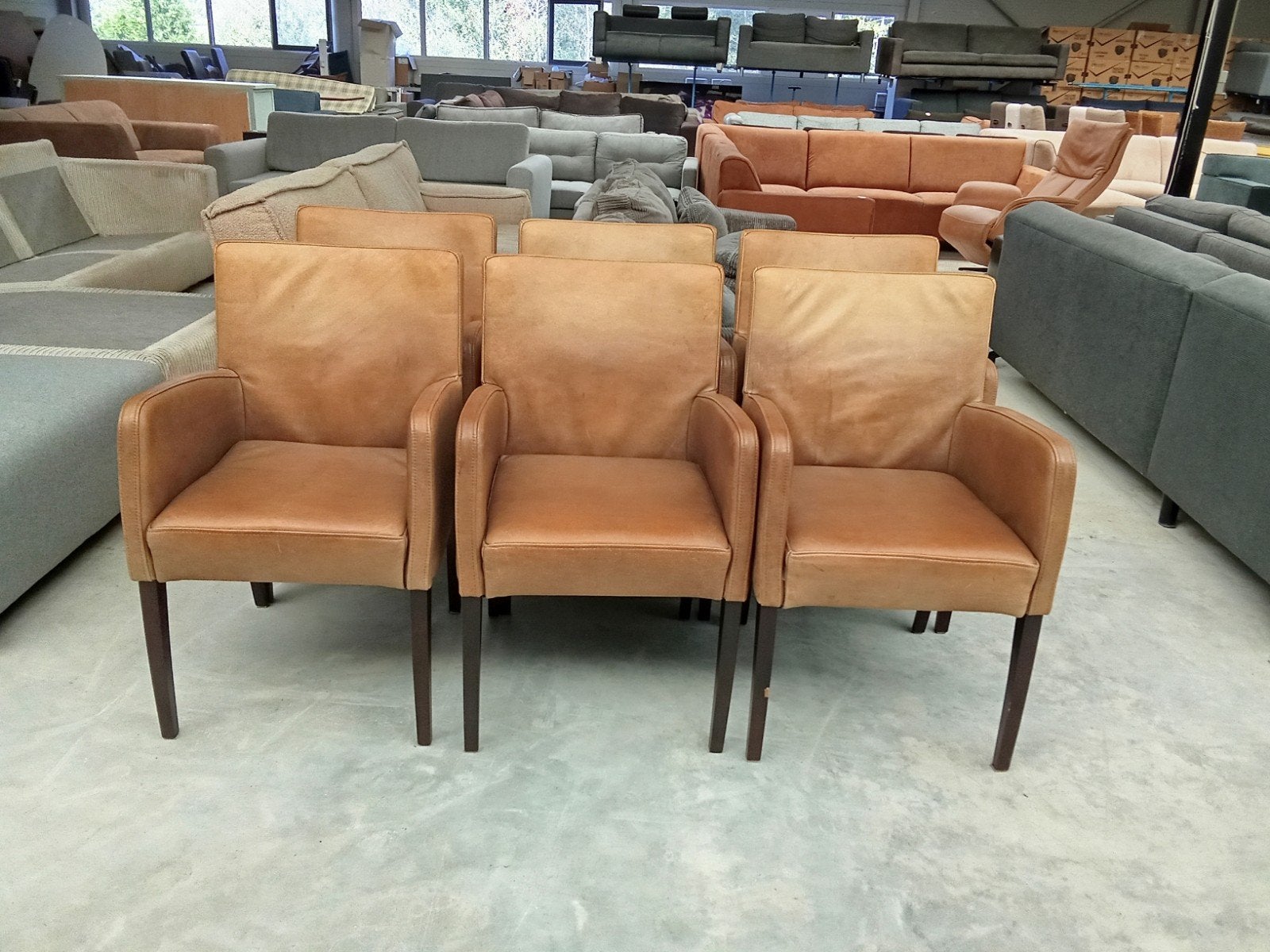 6 lederen stoelen voor €100,-, ., Hout, Ophalen of Verzenden, Zo goed als nieuw