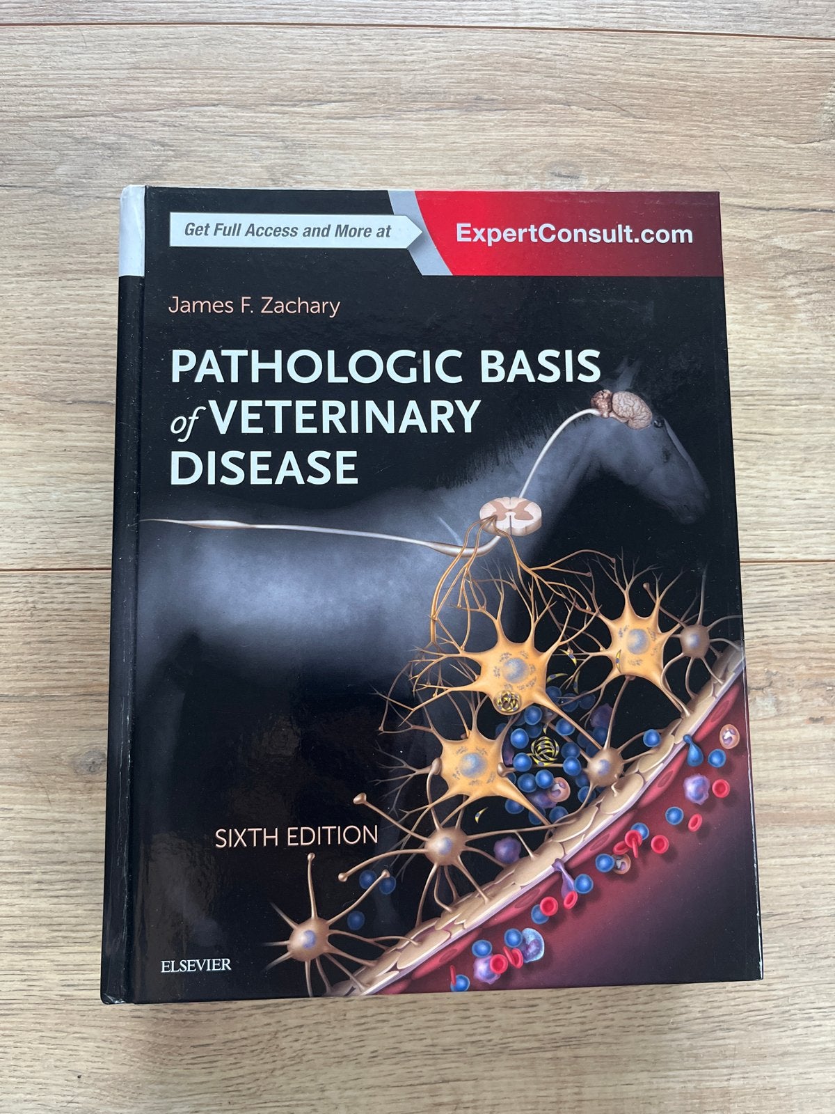 Pathologic Basis of Veterinary Disease - Zesde Editie, Ophalen of Verzenden, Zo goed als nieuw, Natuurwetenschap