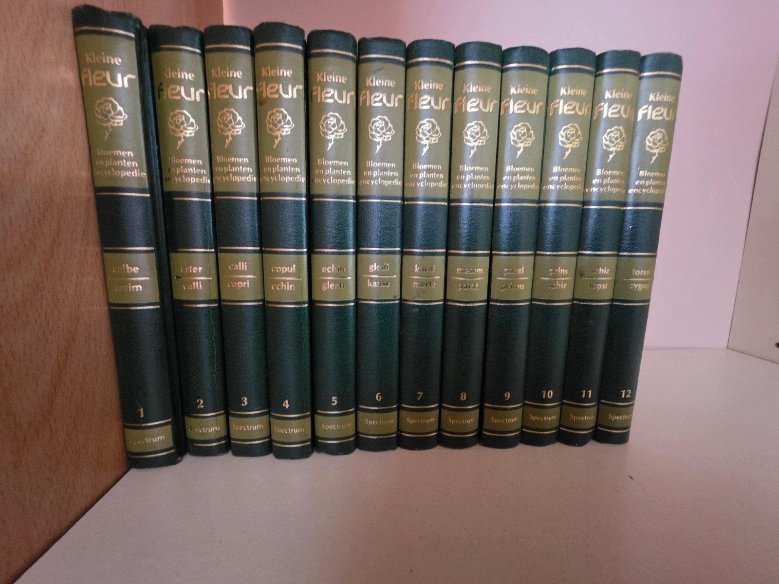 Kleine fleur. Bloemen en planten encyclopedie, Boeken, Encyclopedieën, Ophalen, Zo goed als nieuw, Bloemen en Planten