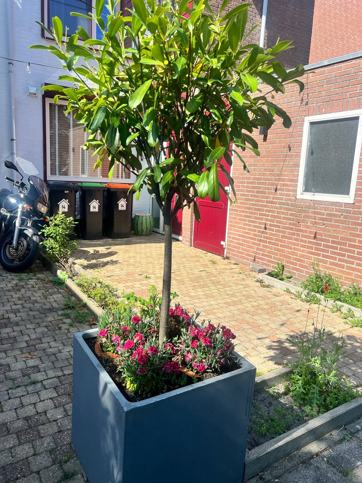 Grijze plantenbakken, Ophalen, Overige materialen, Balkon, Vierkant
