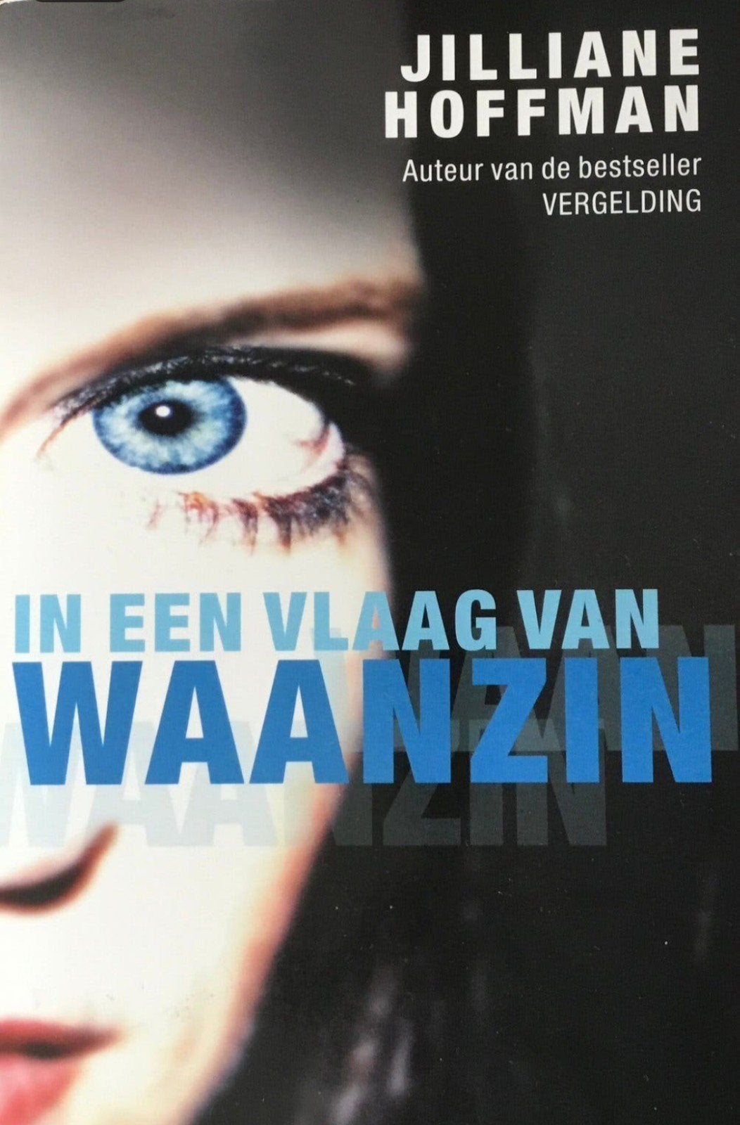 Jillian Hoffman - In een vlaag van waanzin, Ophalen of Verzenden, Zo goed als nieuw, Jillian Hoffman
