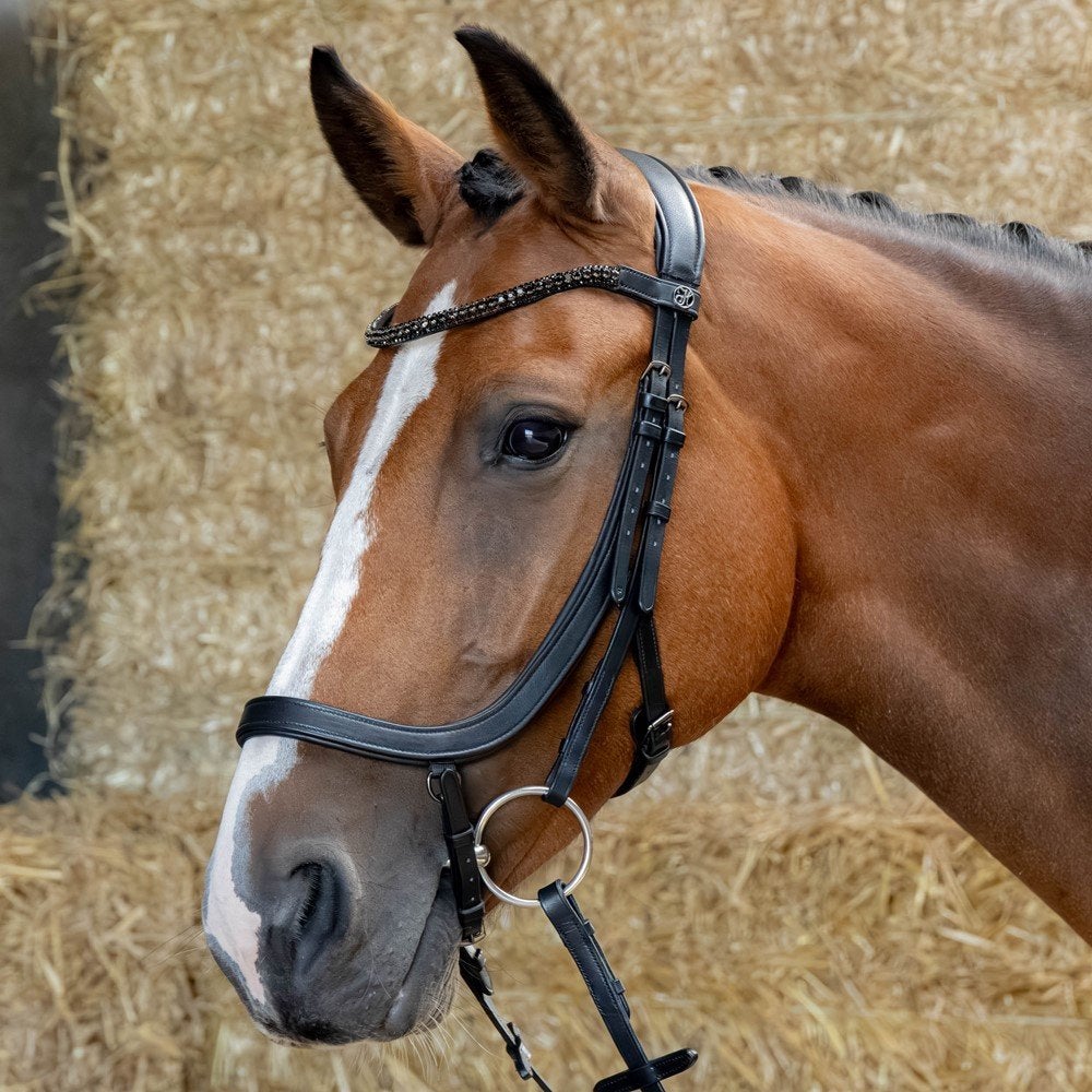 Harry's Horse Hoofdstel Anatomic Black Crystal, Cob en Full, Dieren en Toebehoren, Paarden en Pony's | Hoofdstellen en Tuigage