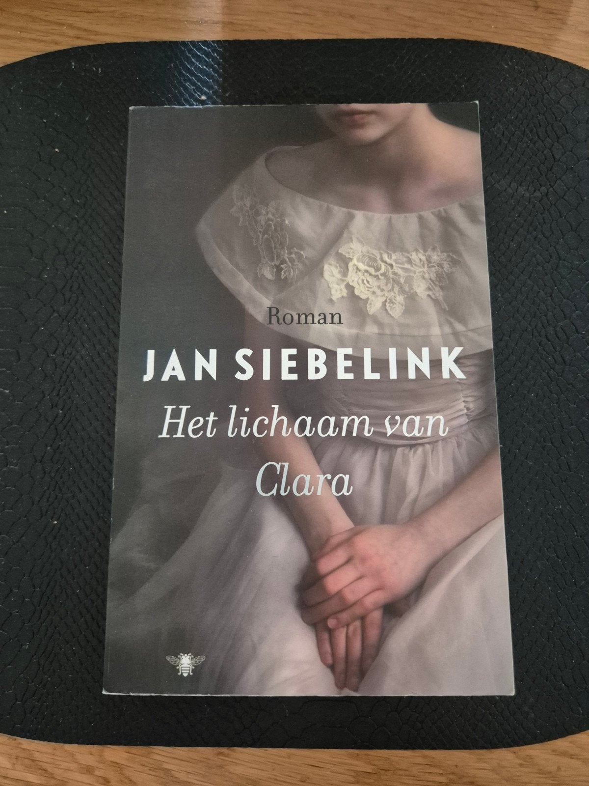 Jan Siebelink - Het lichaam van Clara, Ophalen of Verzenden, Zo goed als nieuw, Jan Siebelink