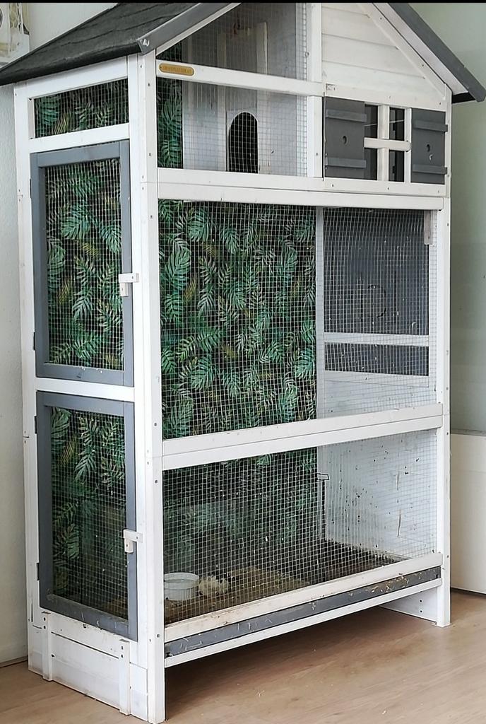 Grote vogel volière binnen of buiten B120xD66xH185 cm, Dieren en Toebehoren, Vogels | Hokken en Kooien, Ophalen, Gebruikt, Hout