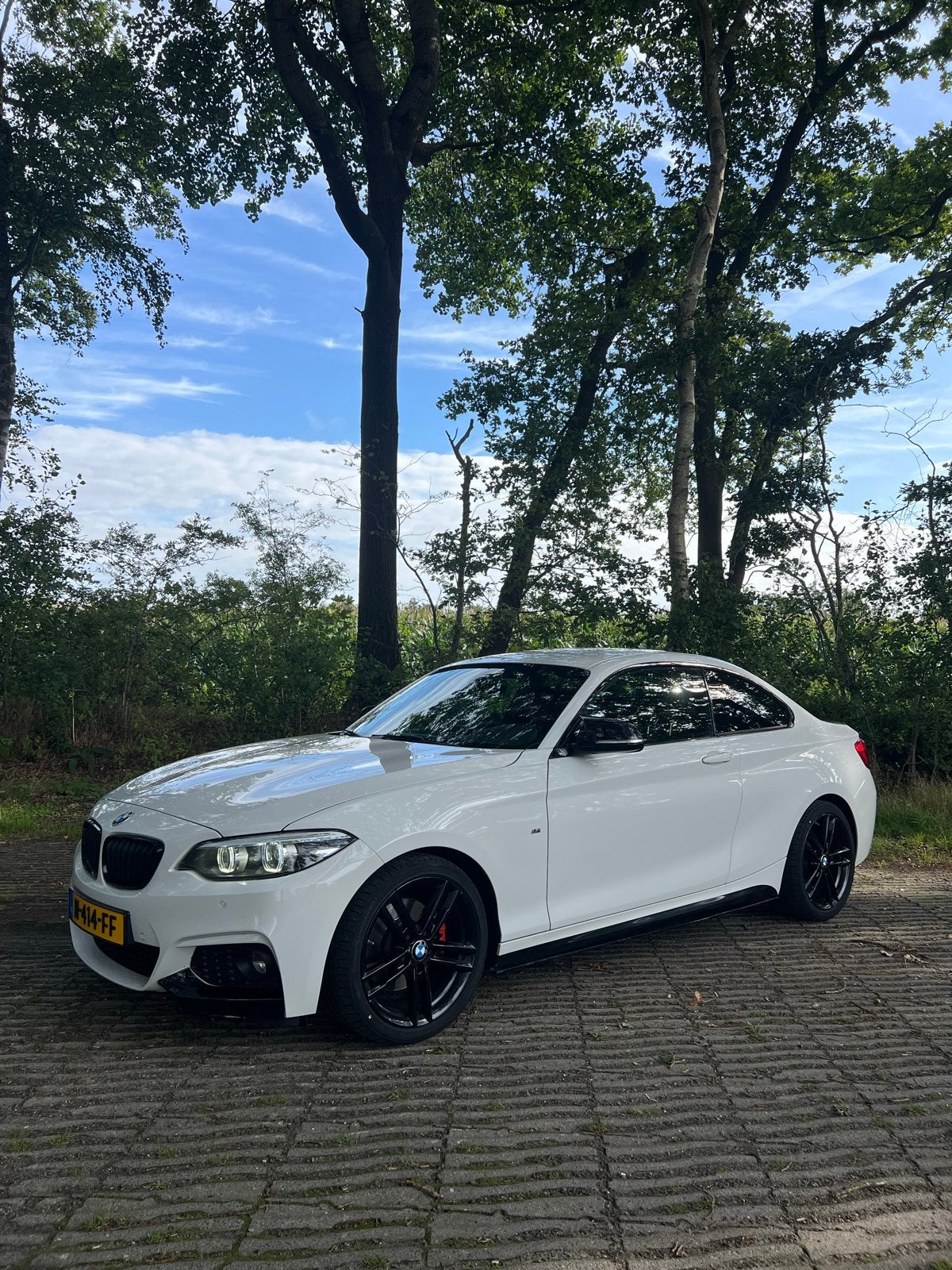 BMW 2-Serie 220i Aut 184pk Wit, Auto's, Lichtsensor, 4 cilinders, 4 stoelen, Alcantara
