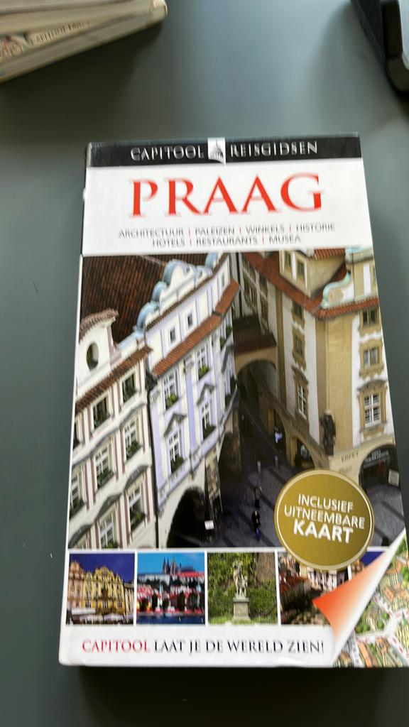 Vladimir Soukup - Praag, Europa, Ophalen of Verzenden, Zo goed als nieuw, Reisgids of -boek