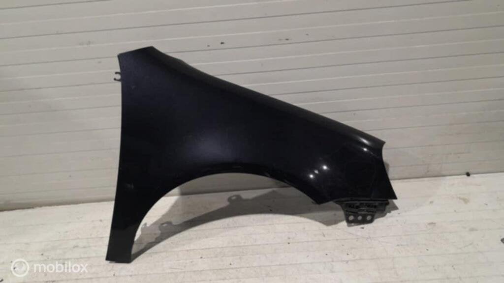 Spatscherm Volkswagen Golf 5, Auto-onderdelen, Gebruikt, Ophalen of Verzenden