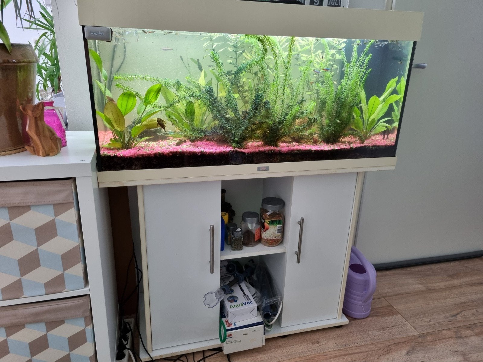 Starters aquarium, Dieren en Toebehoren, Vissen | Aquaria en Toebehoren, Ophalen, Inclusief vissen, Juwel, Gevuld zoetwateraquarium